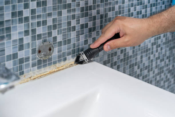 Best Office Mold Removal Services  in Avon, PA